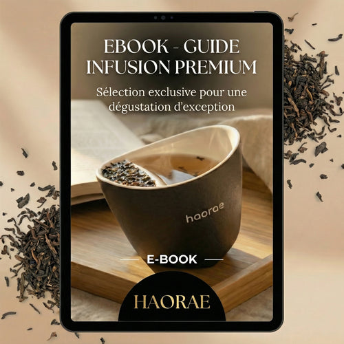 EBOOK - Guide Infusion Premium